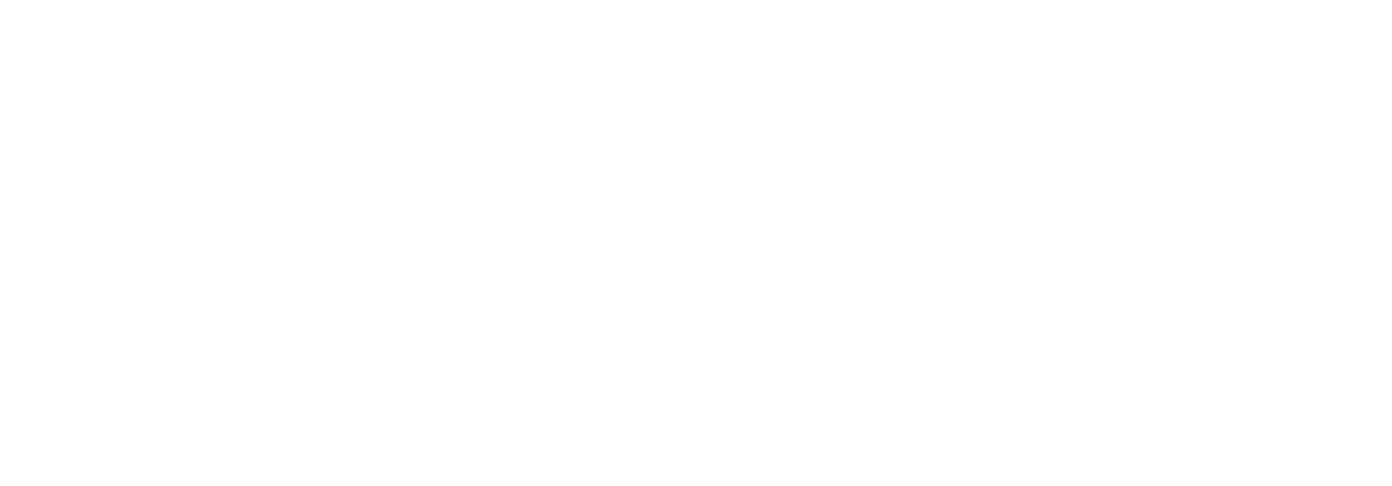 garnet captive logo white