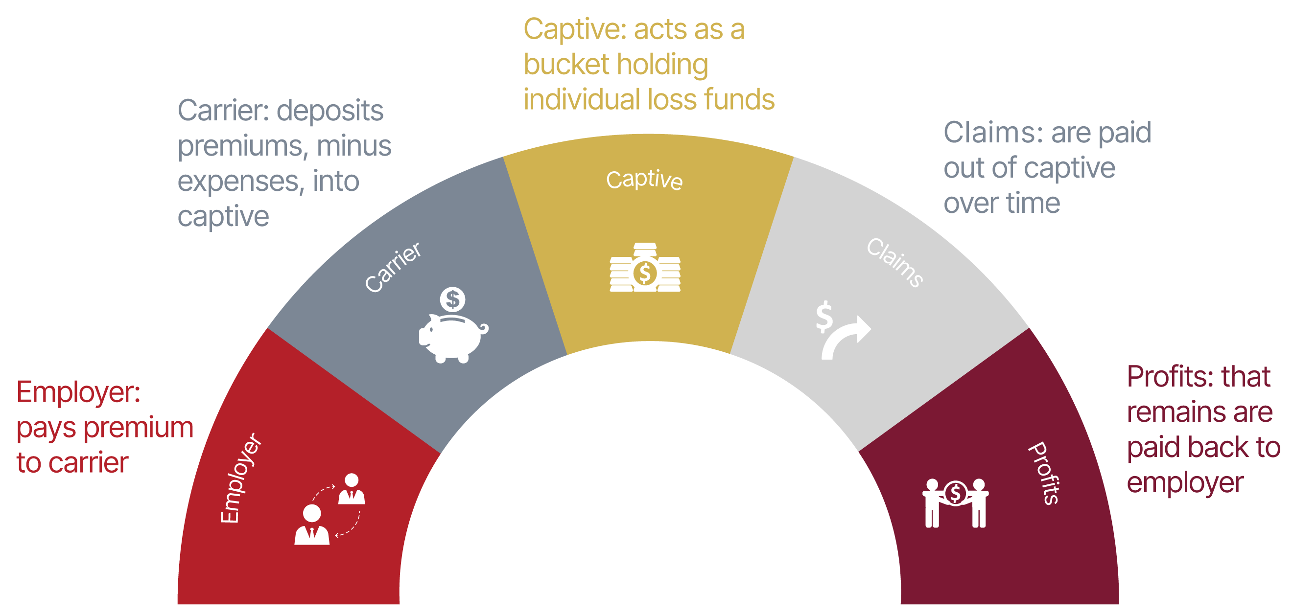 Garnet Captive Structure Infographic